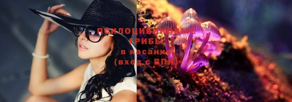кокс Майский