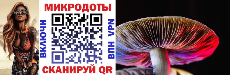 Галлюциногенные грибы ЛСД Купить где Нерчинск